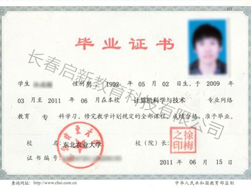 &#20048;&#40060;&#32593;&#39029;&#29256;&#45;&#20048;&#40060;&#40;&#20013;&#22269;&#41;